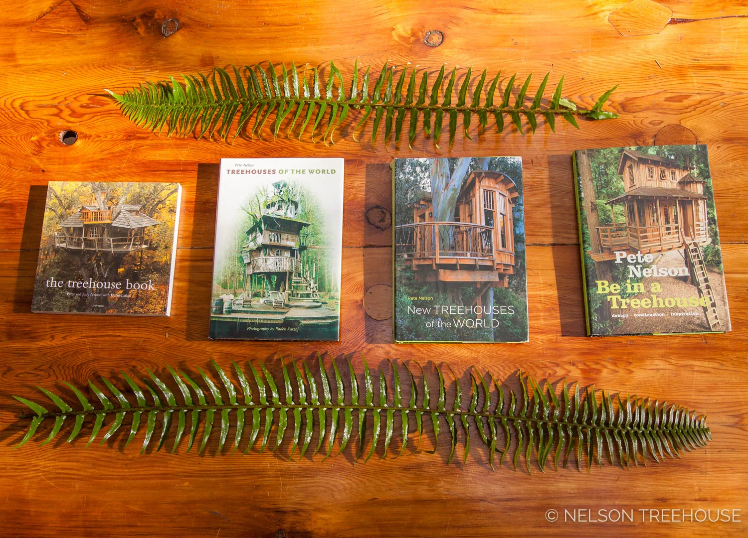 Be in a Treehouse by Pete Nelson - SIGNED COPY! - Image 7