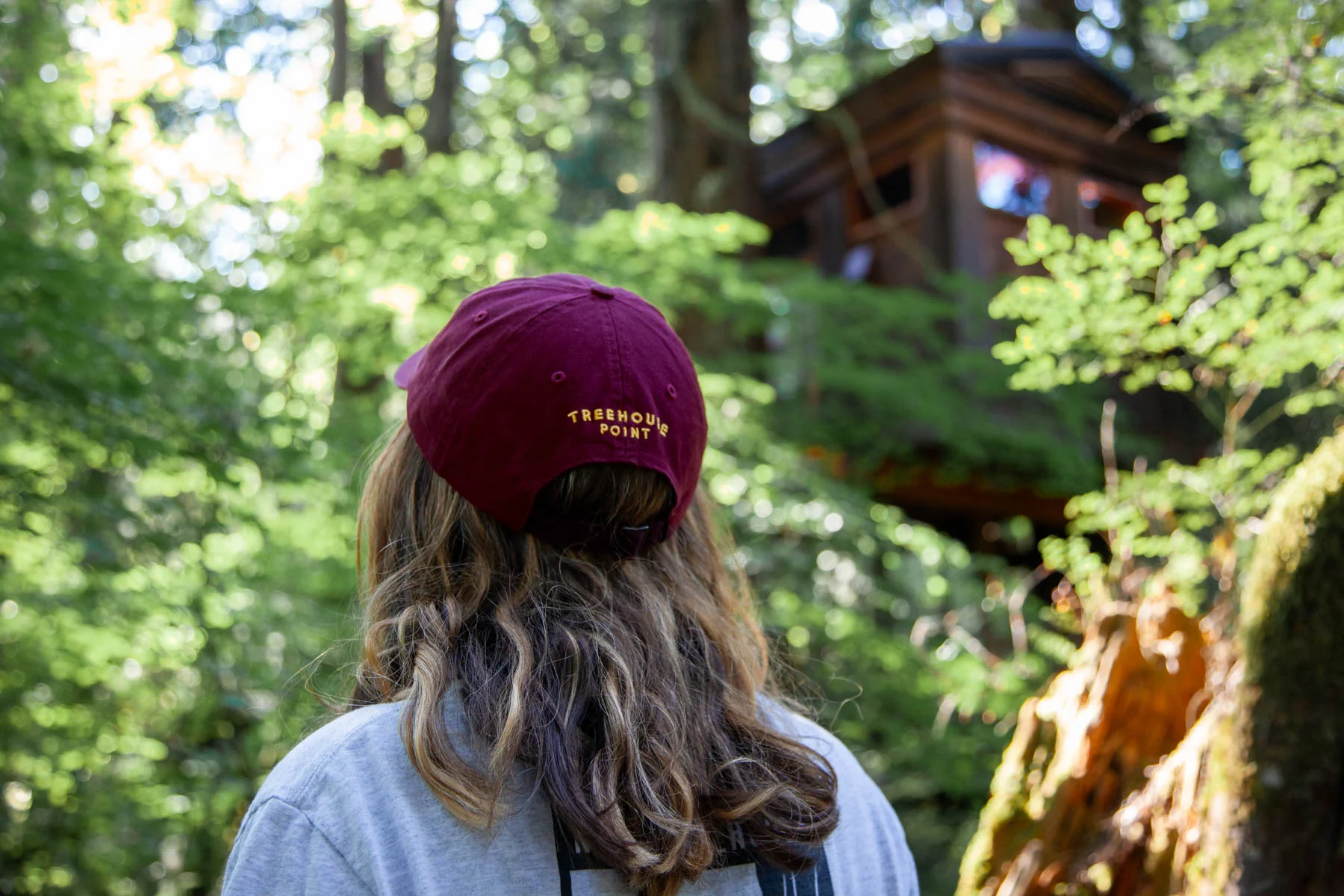 Treehouse Point "Dad" Hat - Image 4