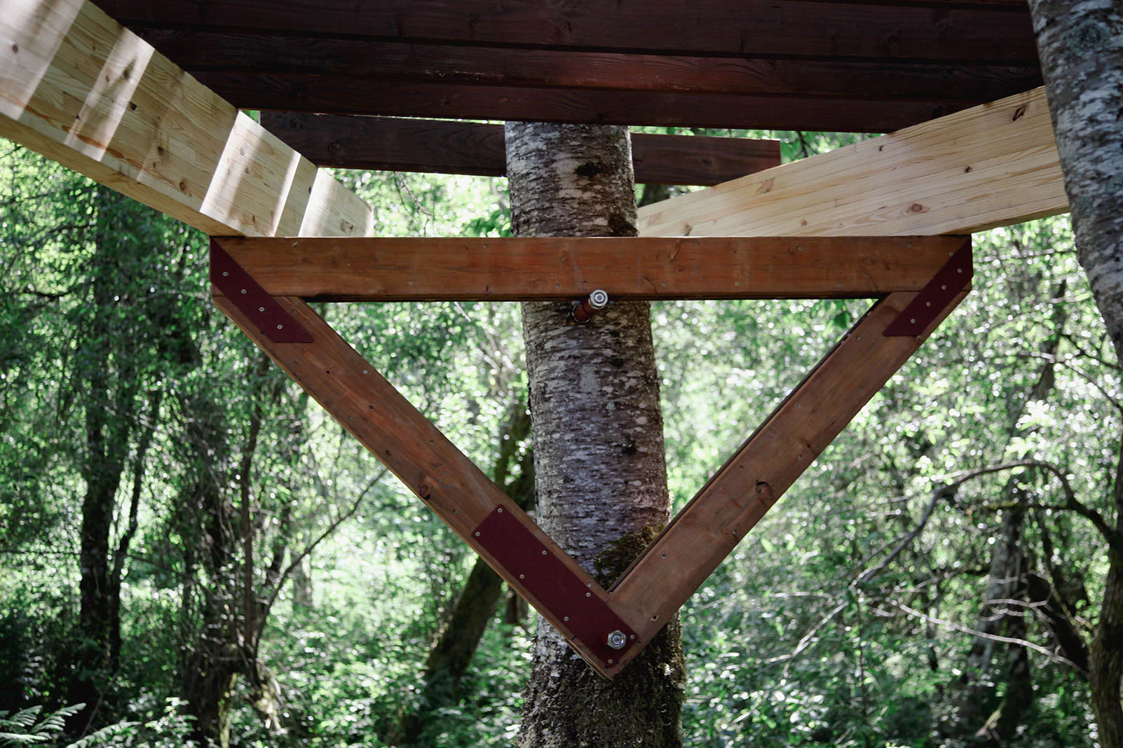 2 Tree 2 Yoke TF Kit - Image 6