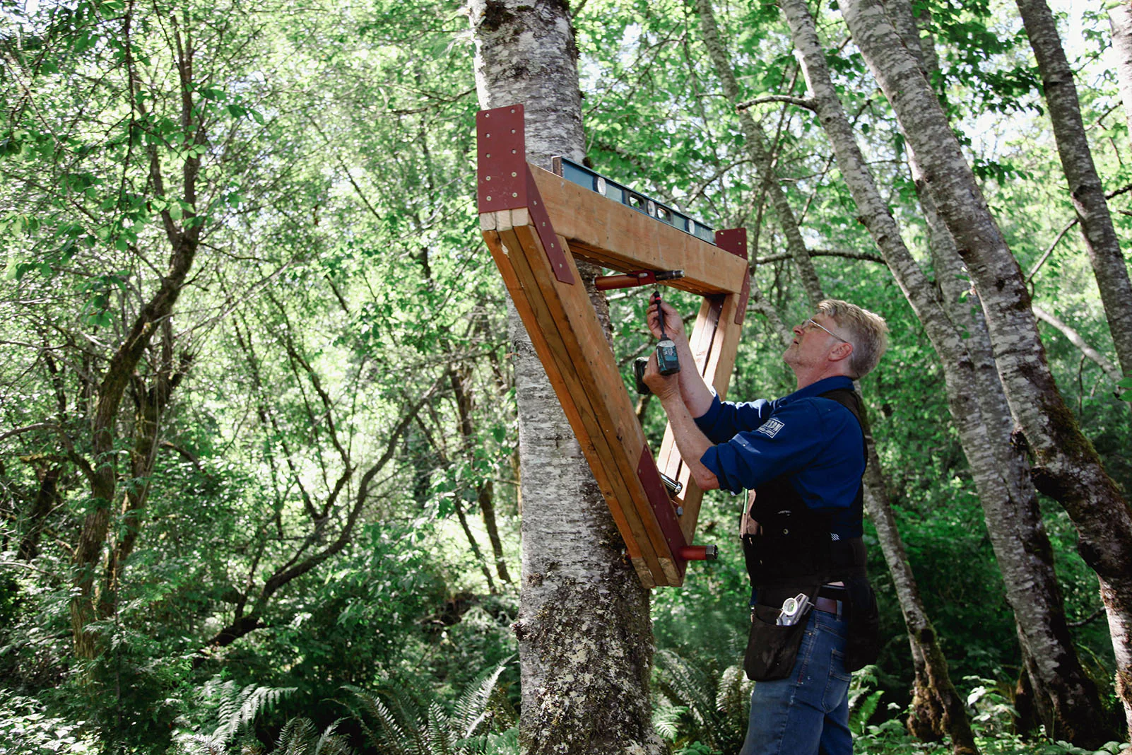 2 Tree 2 Yoke TF Kit - Image 7